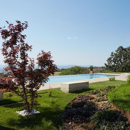 Grandono Agriturismo In Maremma Scansano Exterior foto